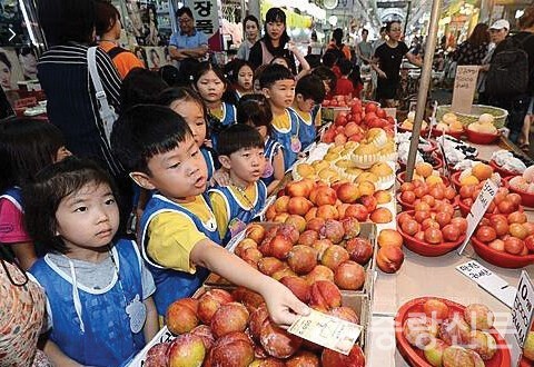 전통시장 장보가체험