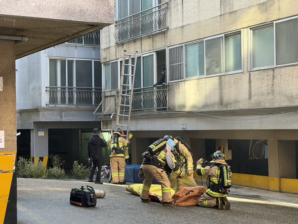 저층용 에어매트·복식사다리를 활용한 인명구조훈련중인 소방대원들
